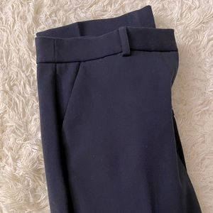 Express Navy Barely Boot Columnist Pant